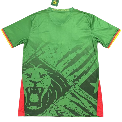 2025 Cameroon Home