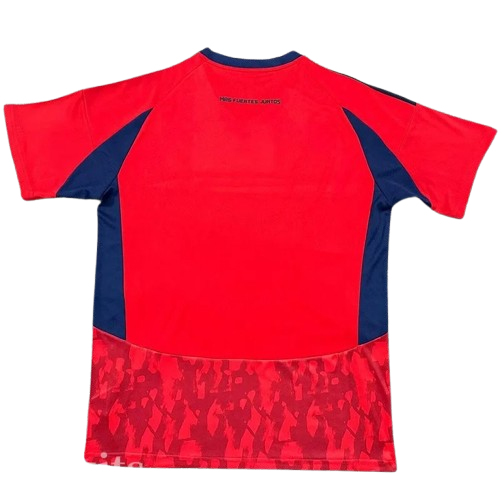 25-26 Independiente Medellin Home