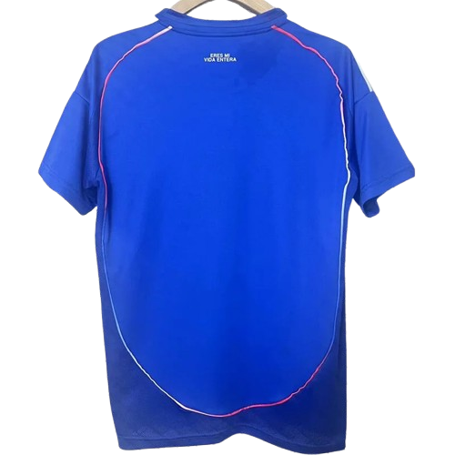 25-26 Universidad De Chile Home