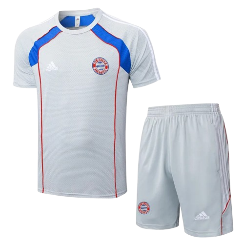 25-26 Bayern Grey Training Short Suit