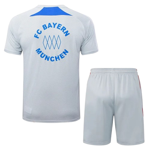 25-26 Bayern Grey Training Short Suit