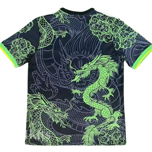 25-26 Real Madrid Green Black Special Edition Training Shirt
