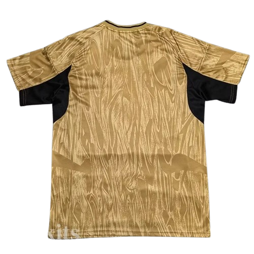 25-26 Real Madrid Gold Special Edition Training Shirt