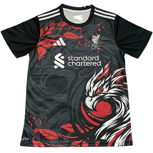 25–26 Liverpool Black Special Edition Training Shirt