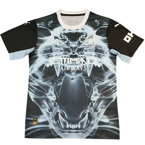 25-26 Man City Blue Grey Concept Edition Training Shirt