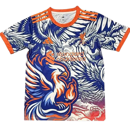 25-26 Liverpool Orange Blue Special Edition Training Shirt