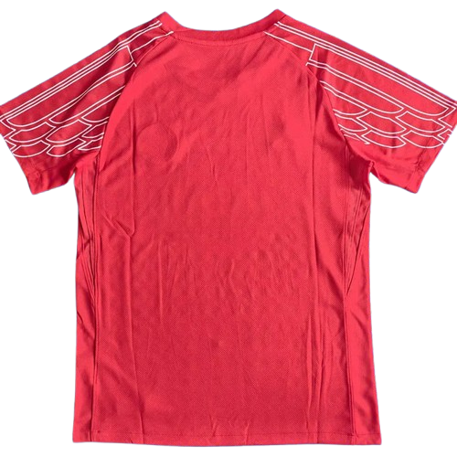 24-25 PSG Red Training Shirt