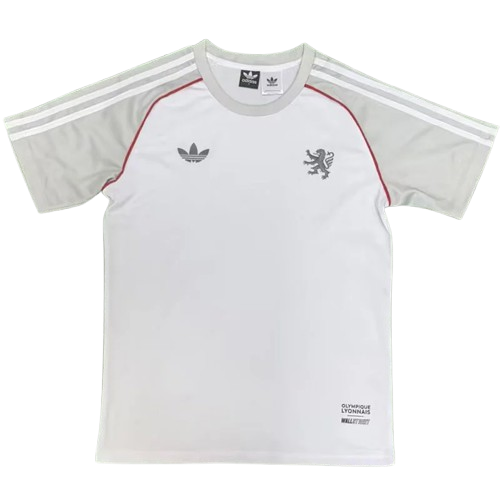 25-26 Lyon Grey Training Shirt