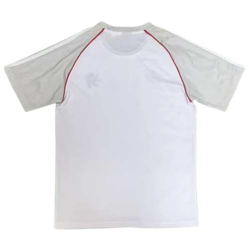 25-26 Lyon Grey Training Shirt