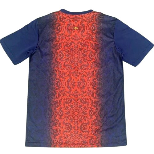 25-26 PSG Red Blue Special Edition Training Shirt