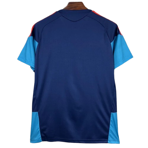 26-27 Spain Royal Blue Training Shirt