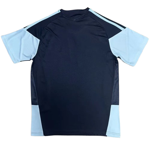 26-27 Argentina Royal Blue Training Shirt