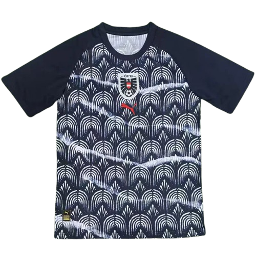 25-26 Austria Grey Black Training Shirt