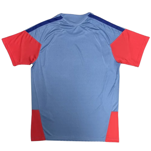 26-27 Japan Grey Training Shirt