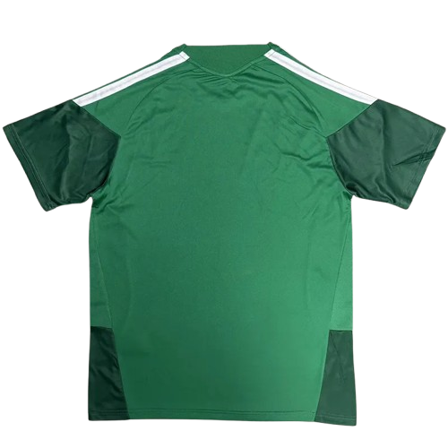 26-27 Mexico Green Training Shirt