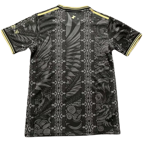 25-26 Argentina Black Gold Special Edition Training Shirt