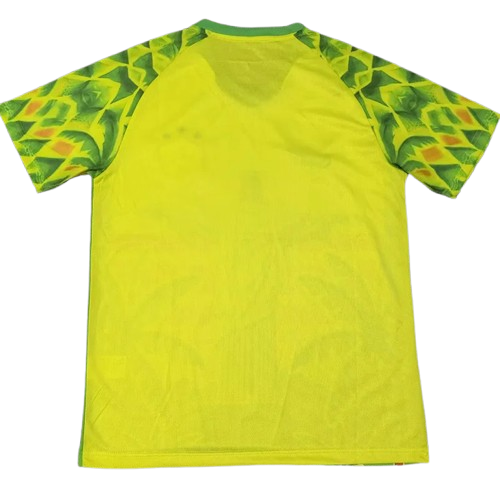 25-26 Brazil Yellow Green Special Edition Training Shirt