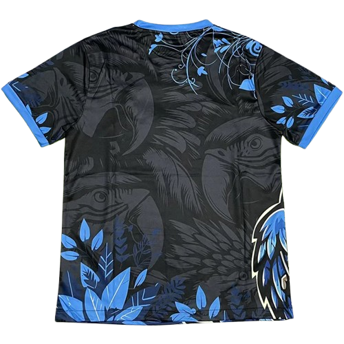 25-26 Brazil Black Blue Special Edition Training Shirt