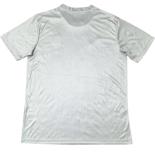 24-25 Algeria Light Green Special Edition Training Shirt