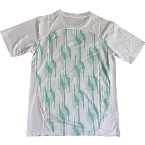 25-26 Palmeiras White Training Shirt