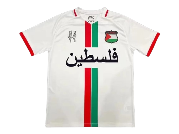 2025 Palestine "Luminous Solidarity"