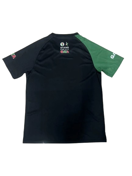 2024 Palestine "Stand for Palestine"