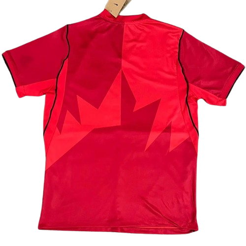 Canada Home World Cup 2026