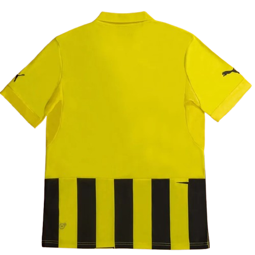12-13 Dortmund Home