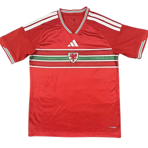 Wales Home World Cup 2026