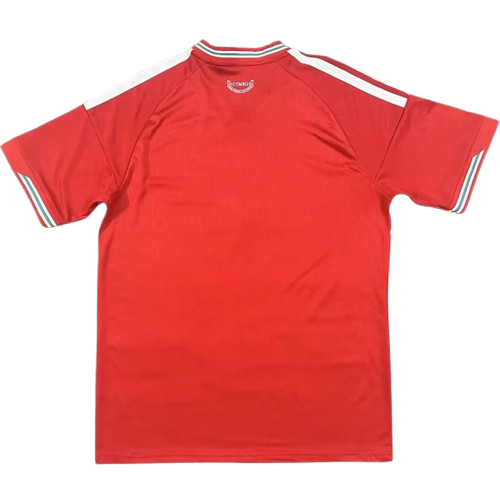 Wales Home World Cup 2026