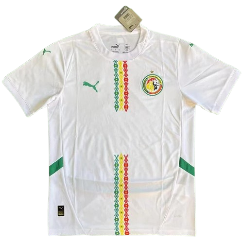 2024 Senegal Home