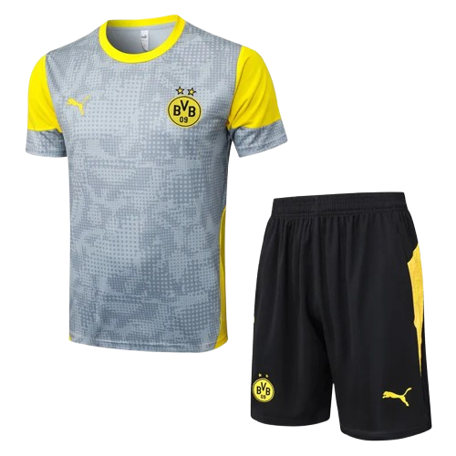 25-26 Dortmund Light Gray Training Short Suit