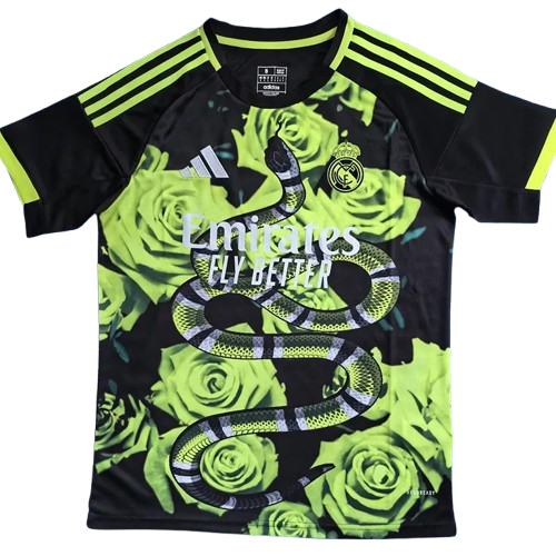 25-26 Real Madrid Green Special Edition Training Shirt
