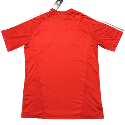 25-26 Bayern Red Special Edition Training Shirt