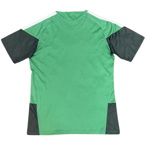 26-27 Algeria Green Training Shirt