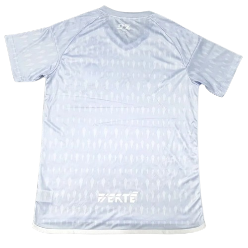 24-25 Algeria Grey Special Edition Training Shirt