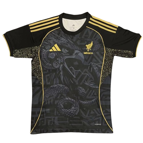 25-26 Mexico Black Special Edition Training Shirt
