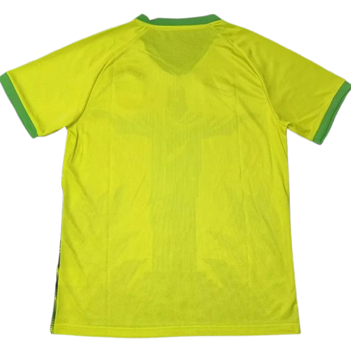 25-26 Brazil Yellow Special Edition Training Shirt