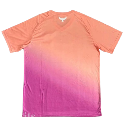 25-26 Tunisia Pink Special Edition Training Shirt