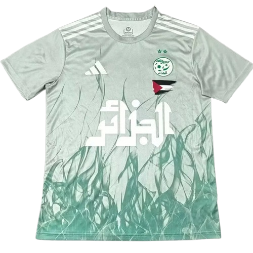 24-25 Algeria Light Green Special Edition Training Shirt