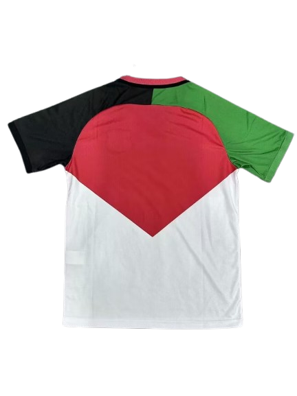 2025 Palestine "Heritage Chevron"
