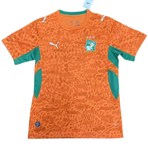 Ivory Coast Home World Cup 2026
