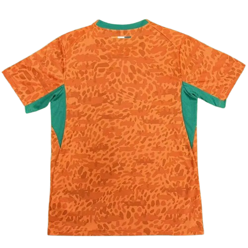 Ivory Coast Home World Cup 2026