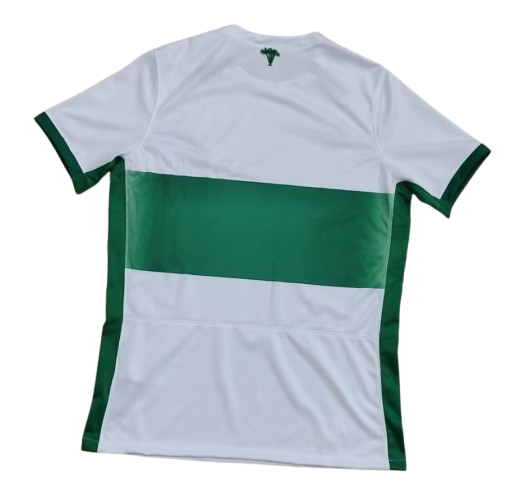 24-25 Elche Home