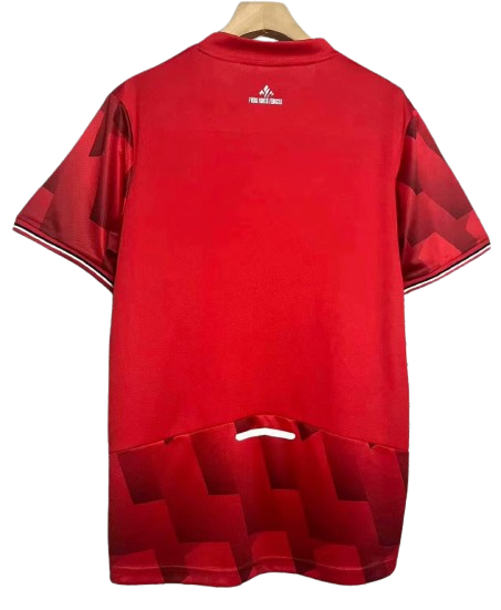25-26 LOSC Lille Home