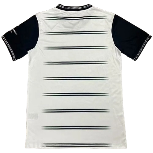 25-26 Ayr United Home